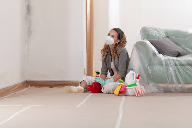 Reliable Mold Remediation contractor in Des Plaines, IL by WQB Mold Removal